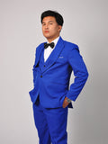 Fabian Royal Blue Suit